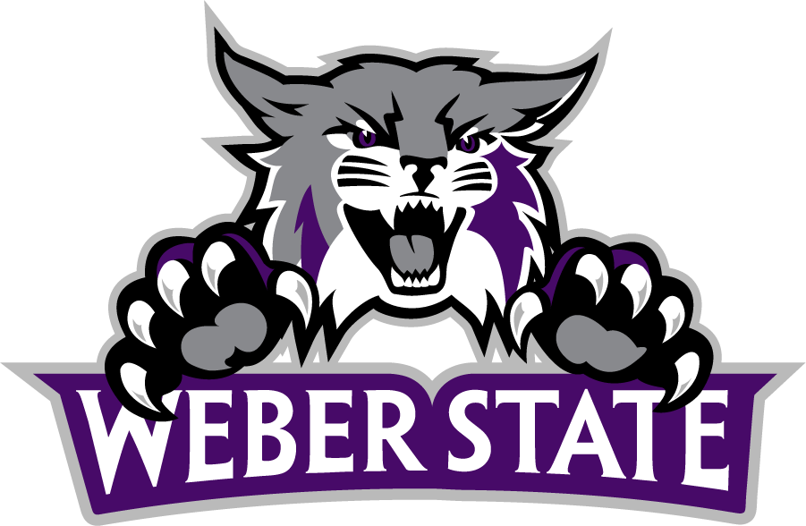 Weber State Wildcats 2012-Pres Secondary Logo v5 diy DTF decal sticker